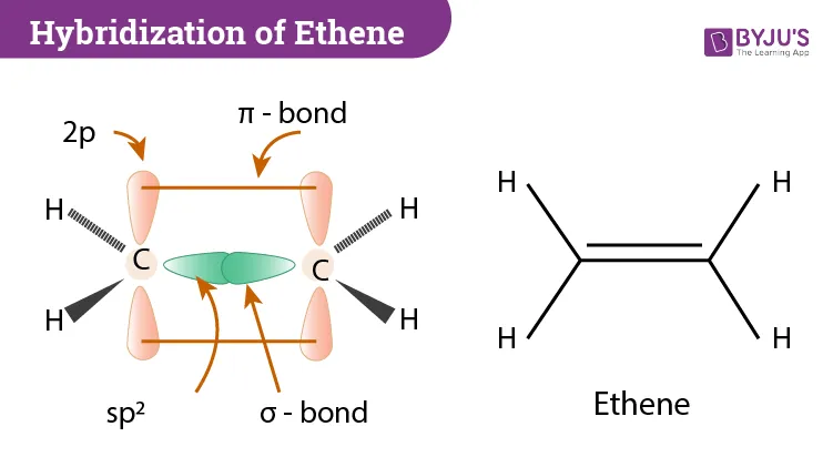 Shape and Bonding in the Ethene Molecule